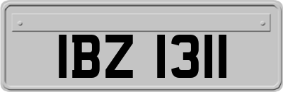 IBZ1311