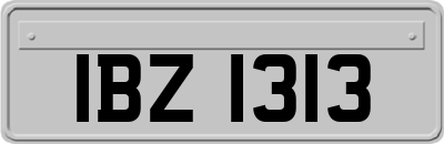 IBZ1313