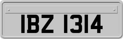IBZ1314