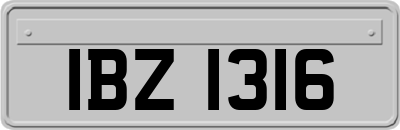 IBZ1316