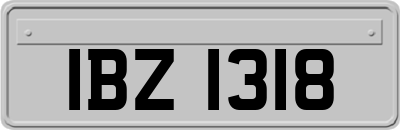 IBZ1318