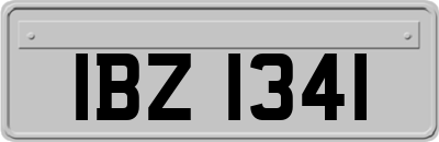 IBZ1341
