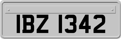 IBZ1342