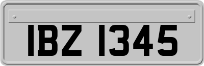 IBZ1345