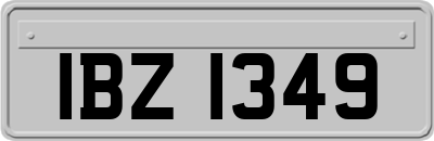 IBZ1349