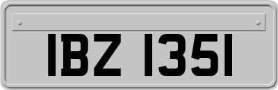 IBZ1351