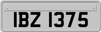 IBZ1375