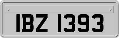 IBZ1393