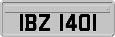 IBZ1401