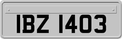 IBZ1403