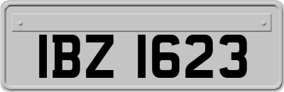 IBZ1623