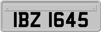 IBZ1645