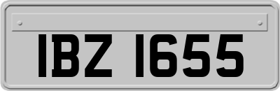 IBZ1655