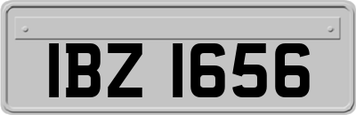 IBZ1656