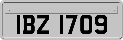 IBZ1709