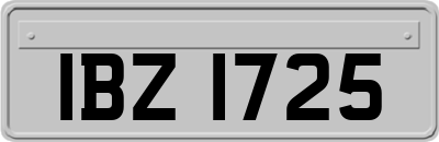 IBZ1725