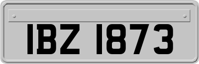 IBZ1873
