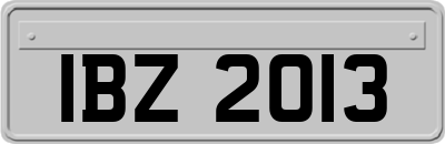 IBZ2013