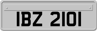 IBZ2101