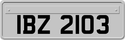 IBZ2103