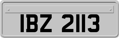 IBZ2113