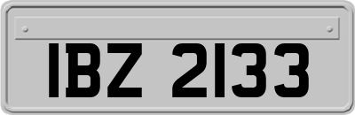 IBZ2133