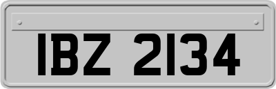 IBZ2134