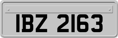 IBZ2163