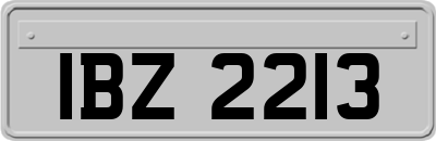IBZ2213
