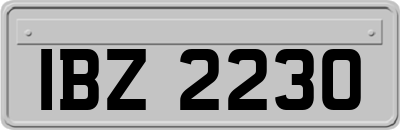 IBZ2230