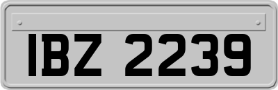 IBZ2239