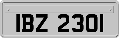 IBZ2301