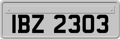 IBZ2303