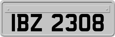IBZ2308