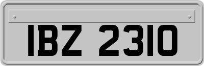 IBZ2310