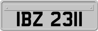 IBZ2311