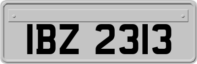 IBZ2313