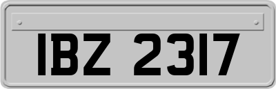 IBZ2317