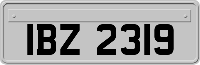 IBZ2319