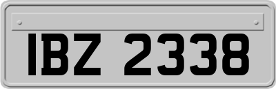 IBZ2338