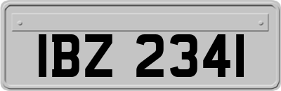 IBZ2341