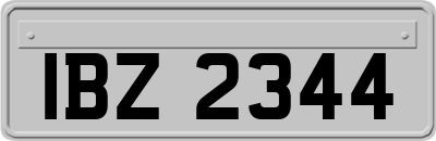 IBZ2344