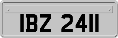IBZ2411