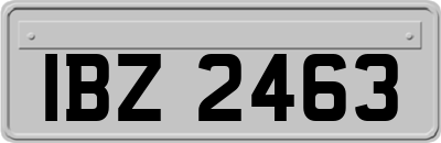 IBZ2463