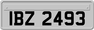 IBZ2493