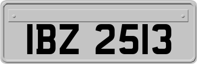 IBZ2513