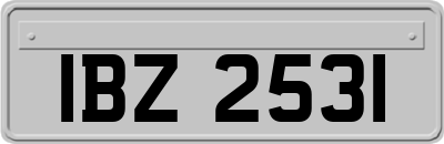IBZ2531