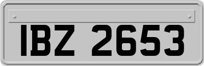 IBZ2653