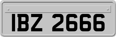 IBZ2666