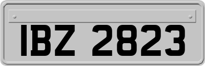 IBZ2823